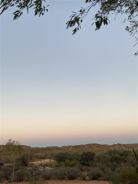 Ooraminna Homestead (9/14/2020 - Credits: Melanie McClure)