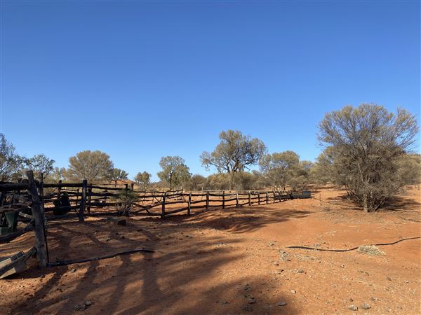 Ooraminna Homestead (9/14/2020 - Credits: Melanie McClure)