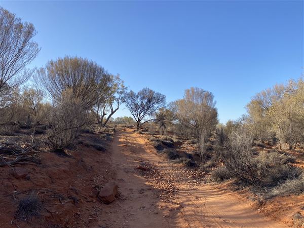 Ooraminna Homestead (9/14/2020 - Credits: Melanie McClure)