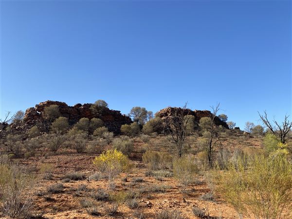 Ooraminna Homestead (9/14/2020 - Credits: Melanie McClure)