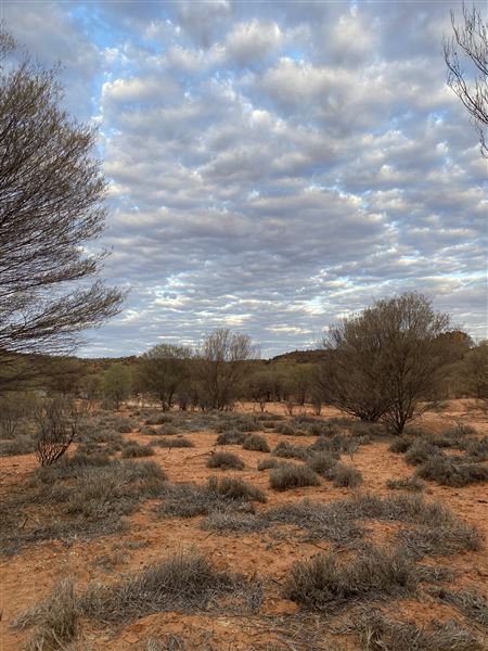 Ooraminna Homestead (9/14/2020 - Credits: Melanie McClure)